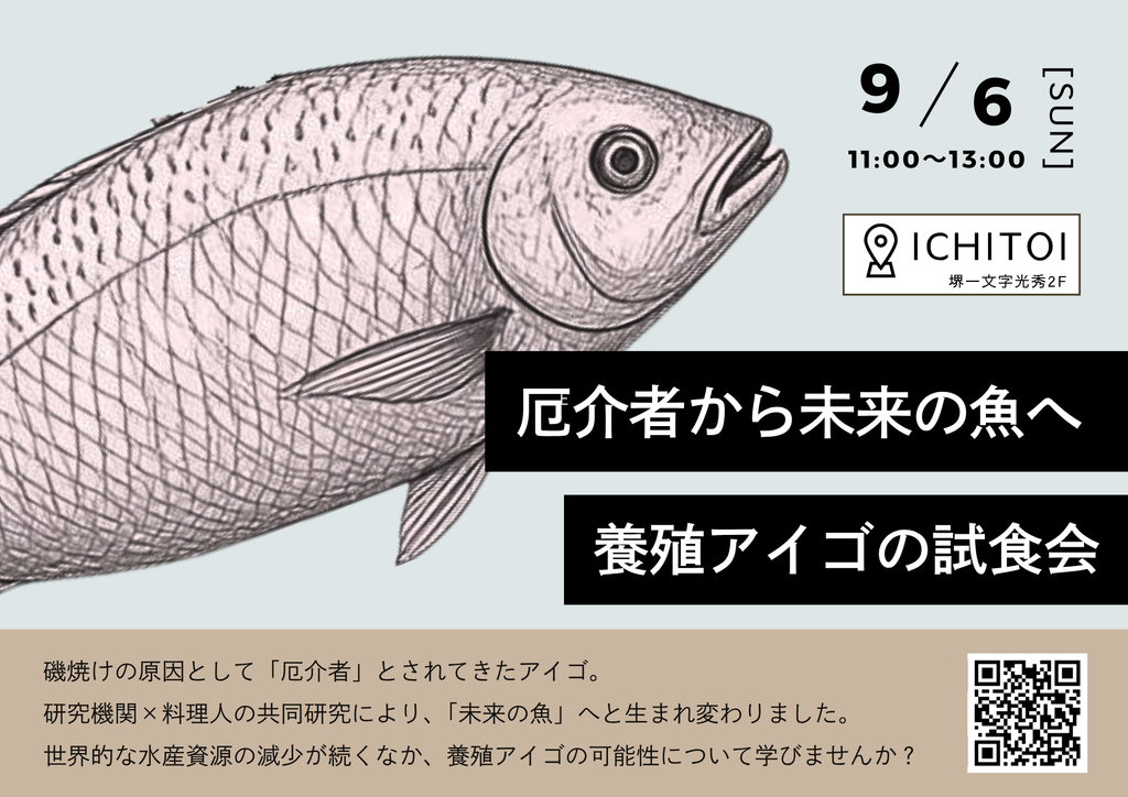 厄介者から未来の魚へ－養殖アイゴの試食会－
